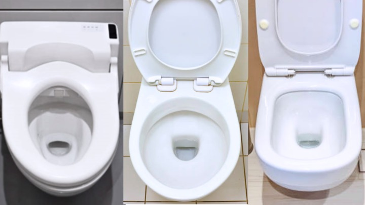 Types of Toilets (Styles, Flush Types, Features)