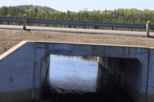 Bridge Culvert