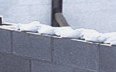 Concrete block insulation